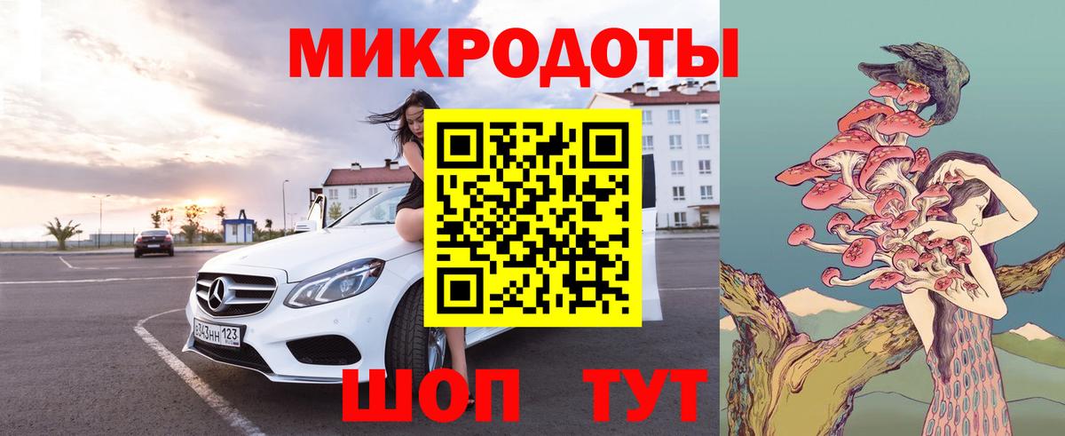 Галлюциногенные грибы Psilocybine cubensis Москва