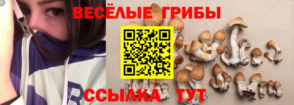 Москва  Галлюциногенные грибы ЛСД  Вход с VPN 